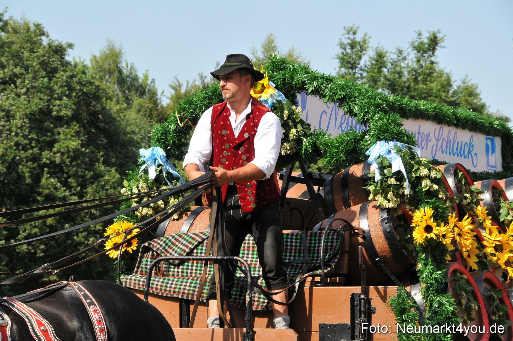 Pferdeschau Neumarkt 220811 0181