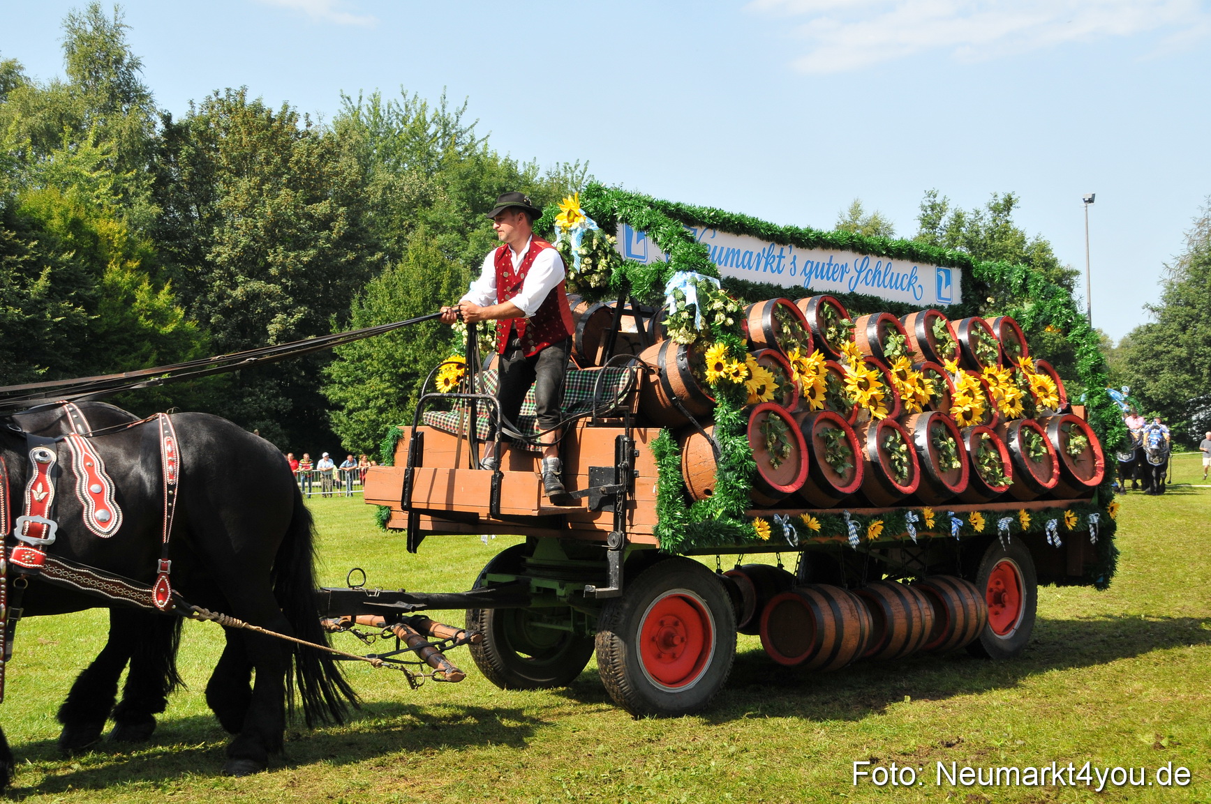 Pferdeschau Neumarkt 220811 0182