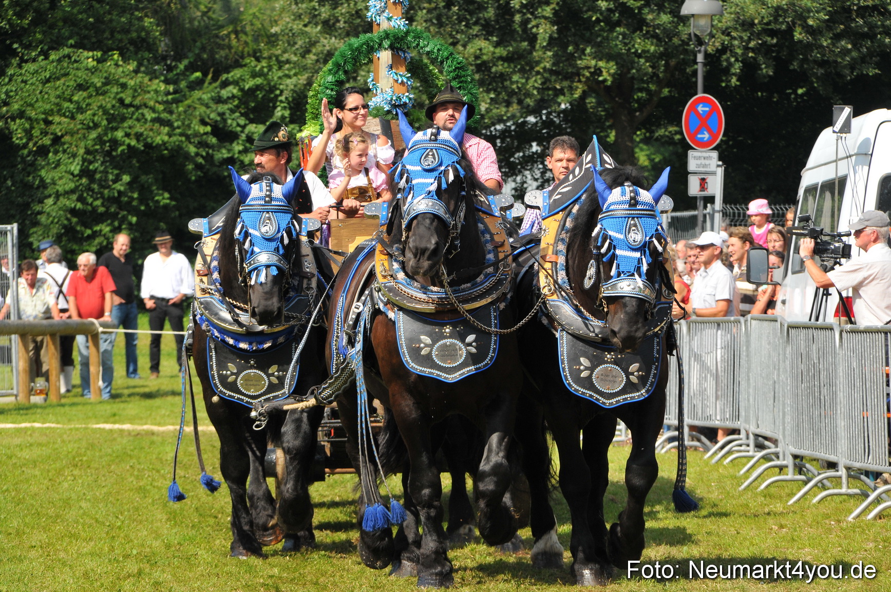 Pferdeschau Neumarkt 220811 0183