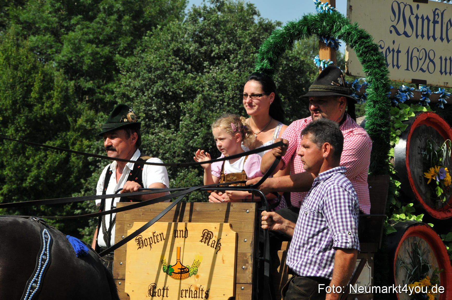 Pferdeschau Neumarkt 220811 0184