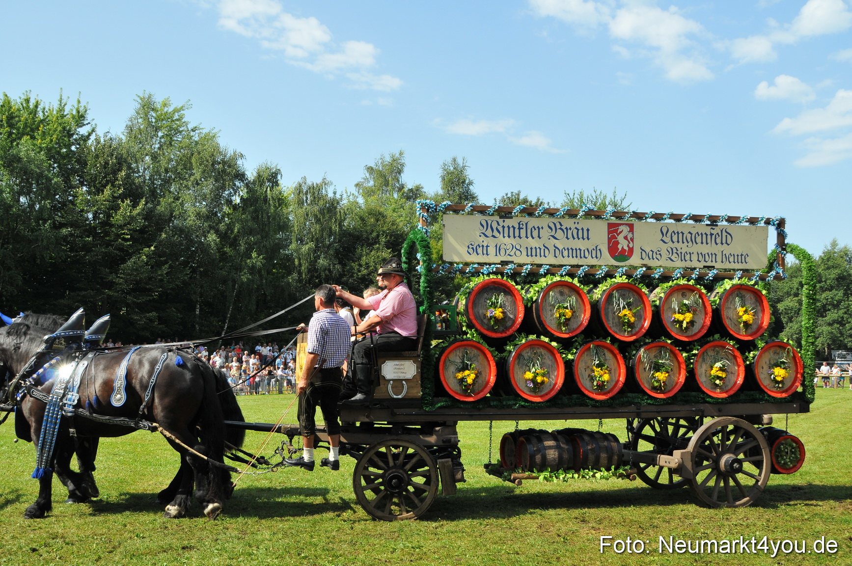 Pferdeschau Neumarkt 220811 0185