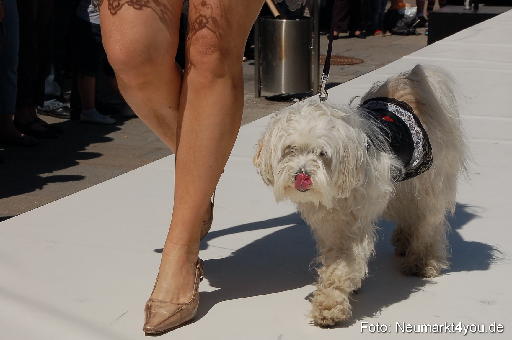 Nacht der Sinne Modenschau 070511 0063