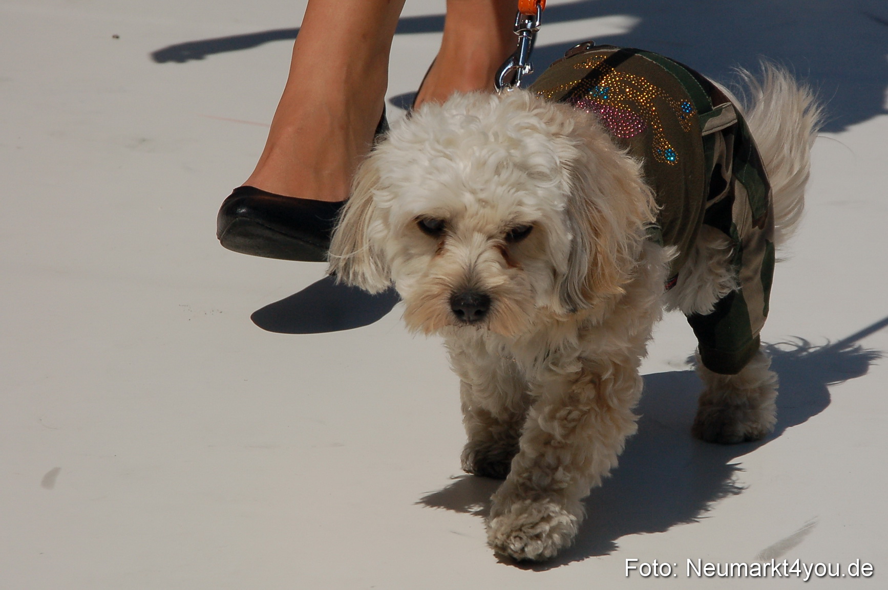 Nacht der Sinne Modenschau 070511 0069