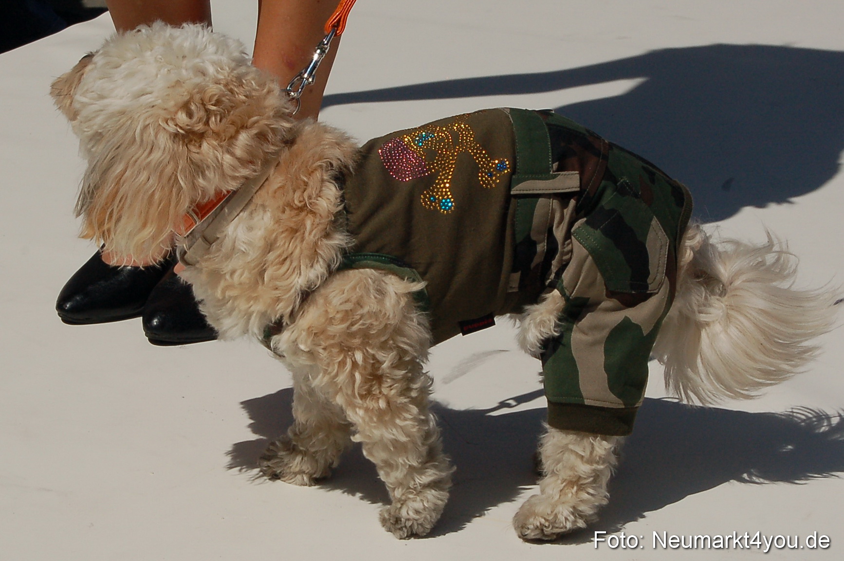 Nacht der Sinne Modenschau 070511 0070