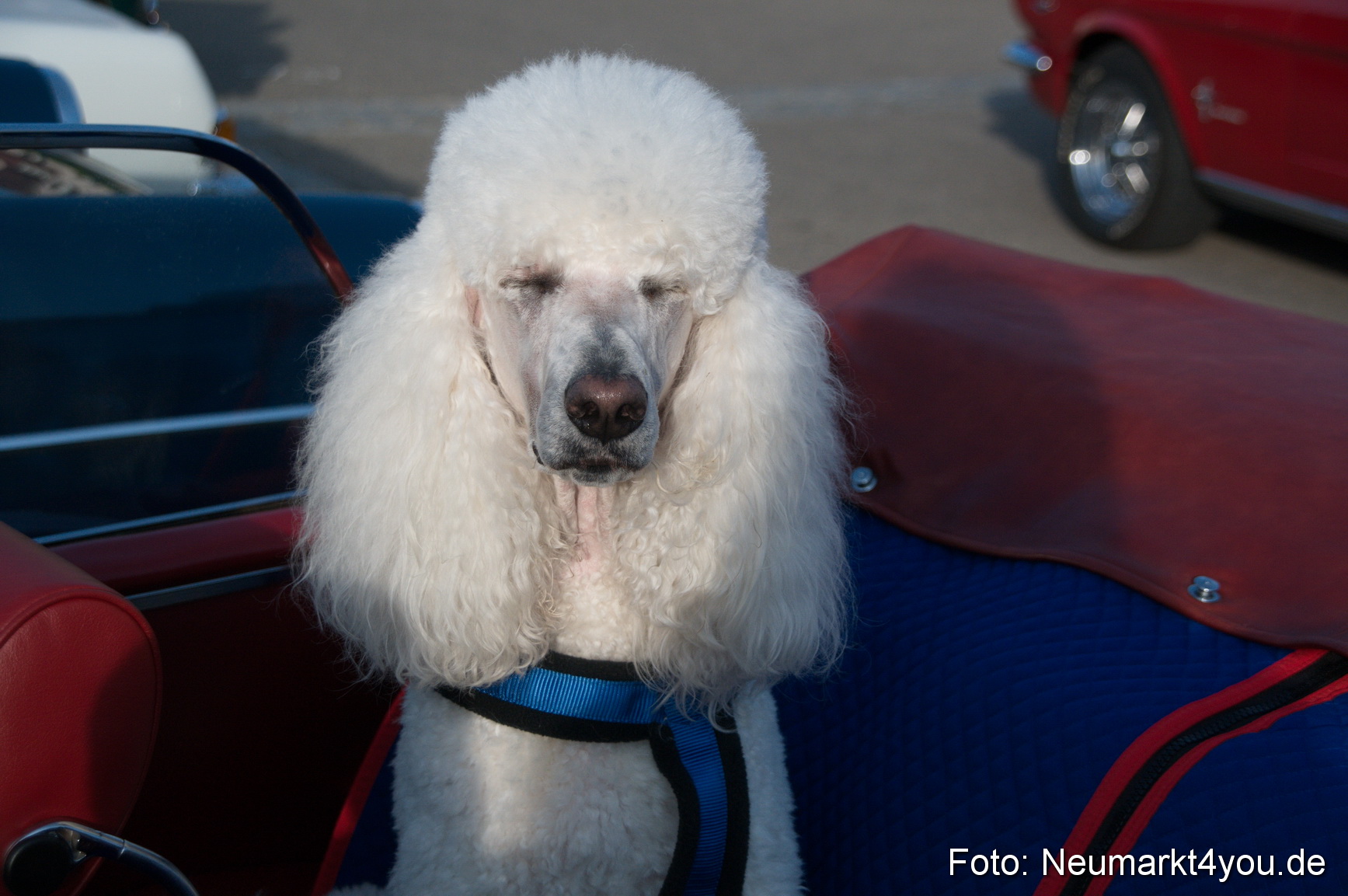 Taubertal Rundfahrt 2011 0032