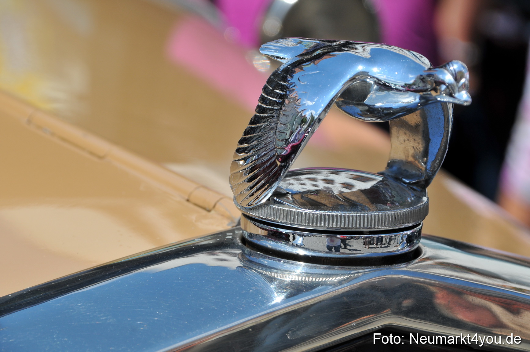 Oldtimertreffen Ausstellung Neumarkt 120611 0183