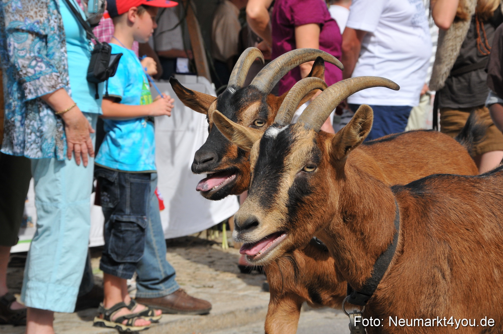 Tillyfest Breitenbrunn 110911 0094