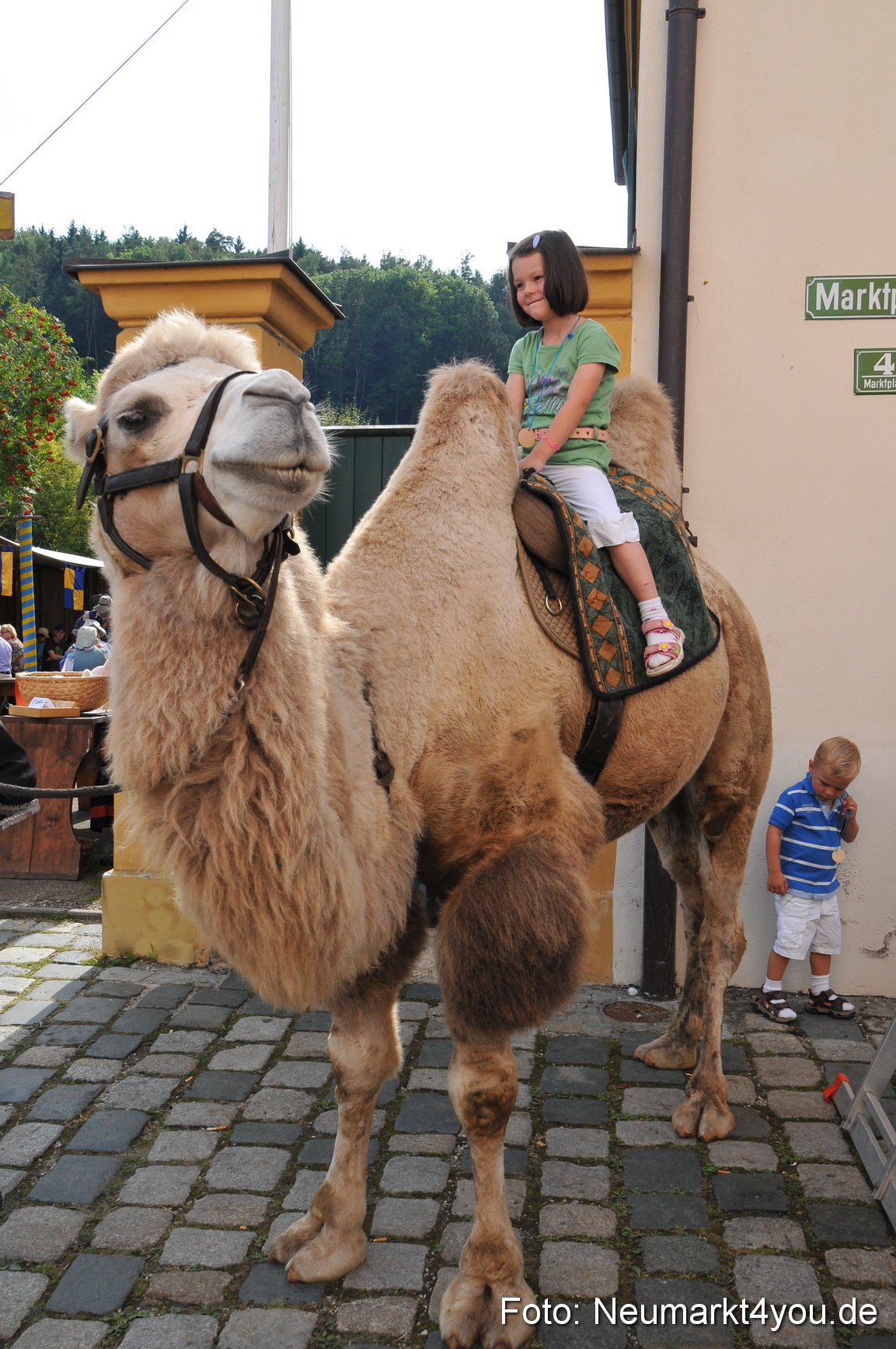 Tillyfest Breitenbrunn 110911 0202