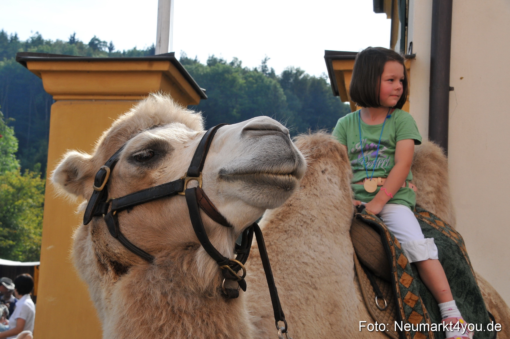 Tillyfest Breitenbrunn 110911 0203