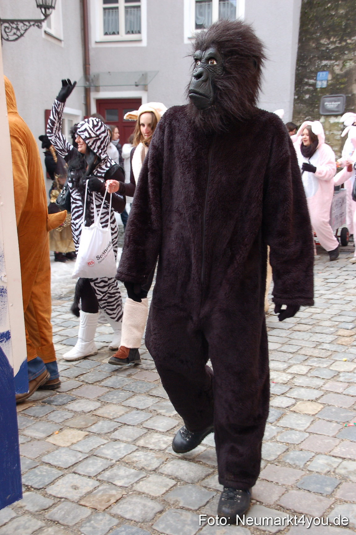 Faschingszug Berching 190212 0118