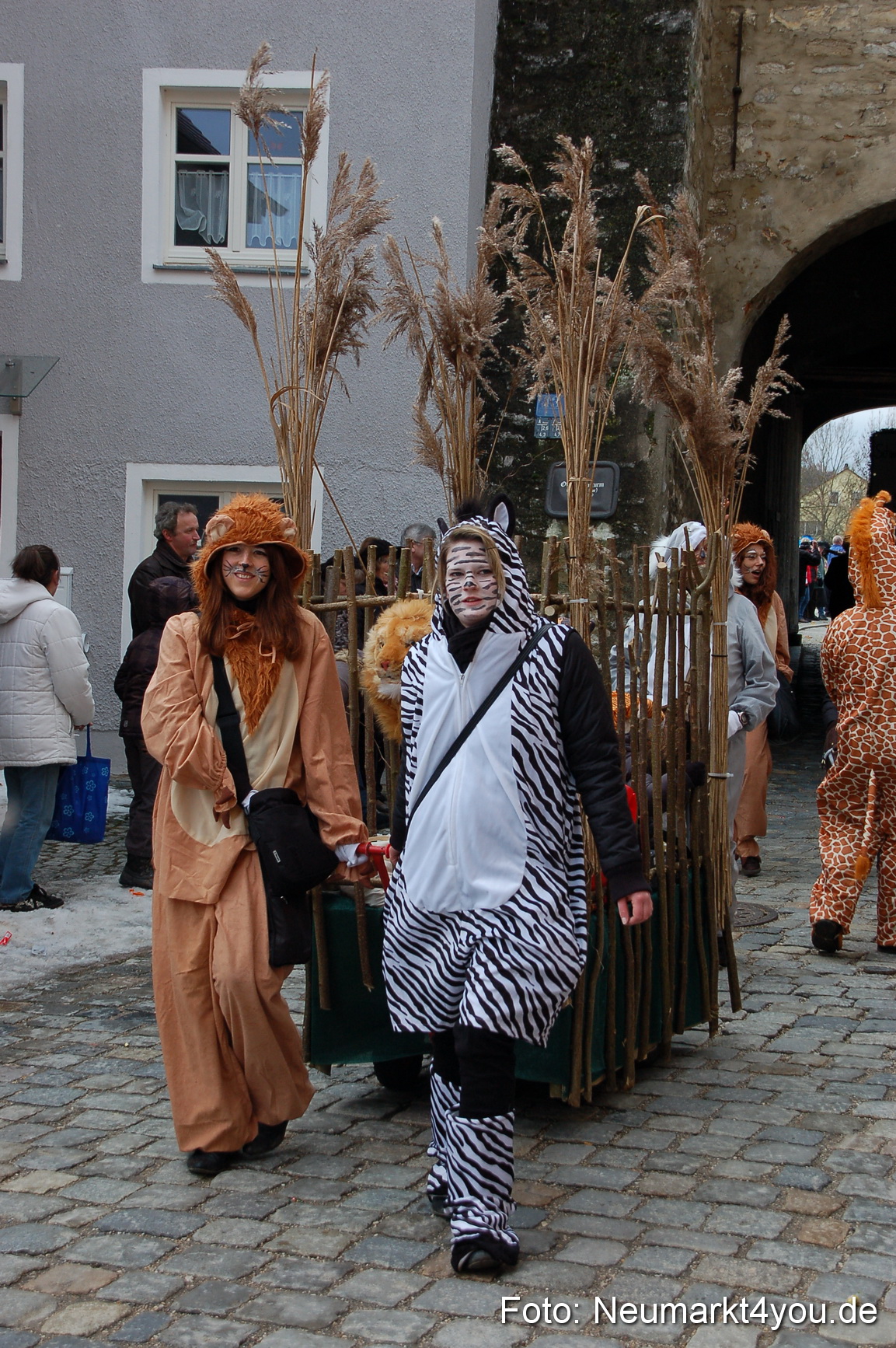 Faschingszug Berching 190212 0121