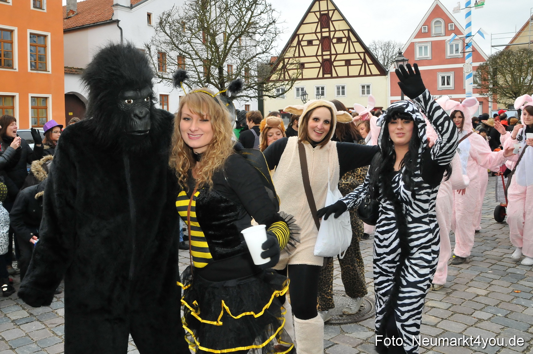 Faschingszug Berching 190212 0134