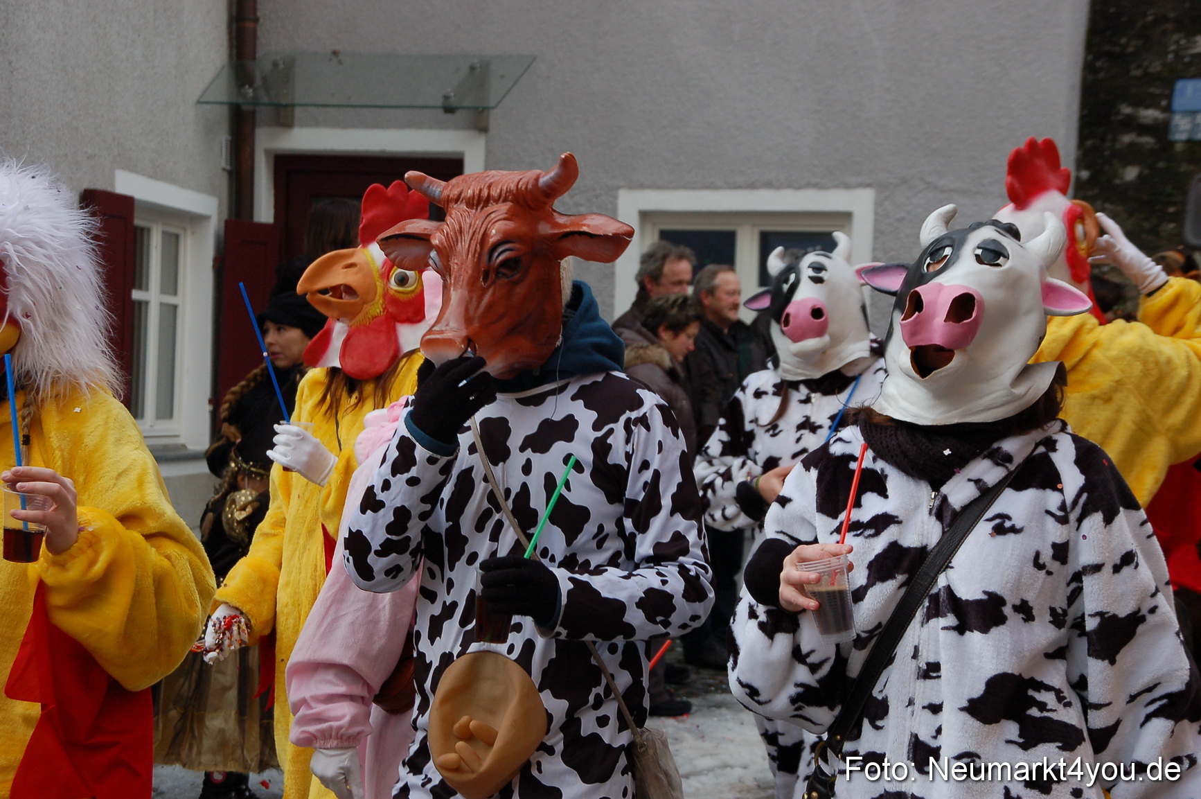 Faschingszug Berching 190212 0137