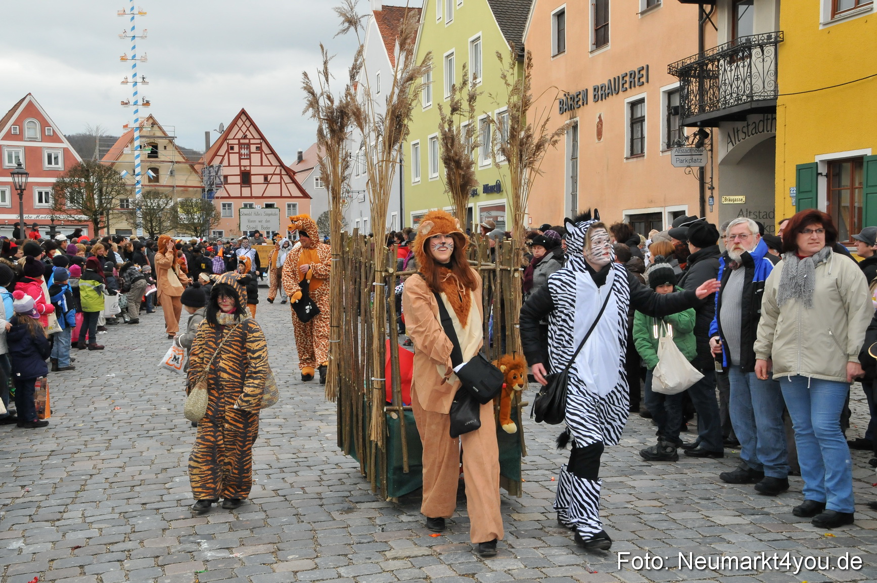 Faschingszug Berching 190212 0146