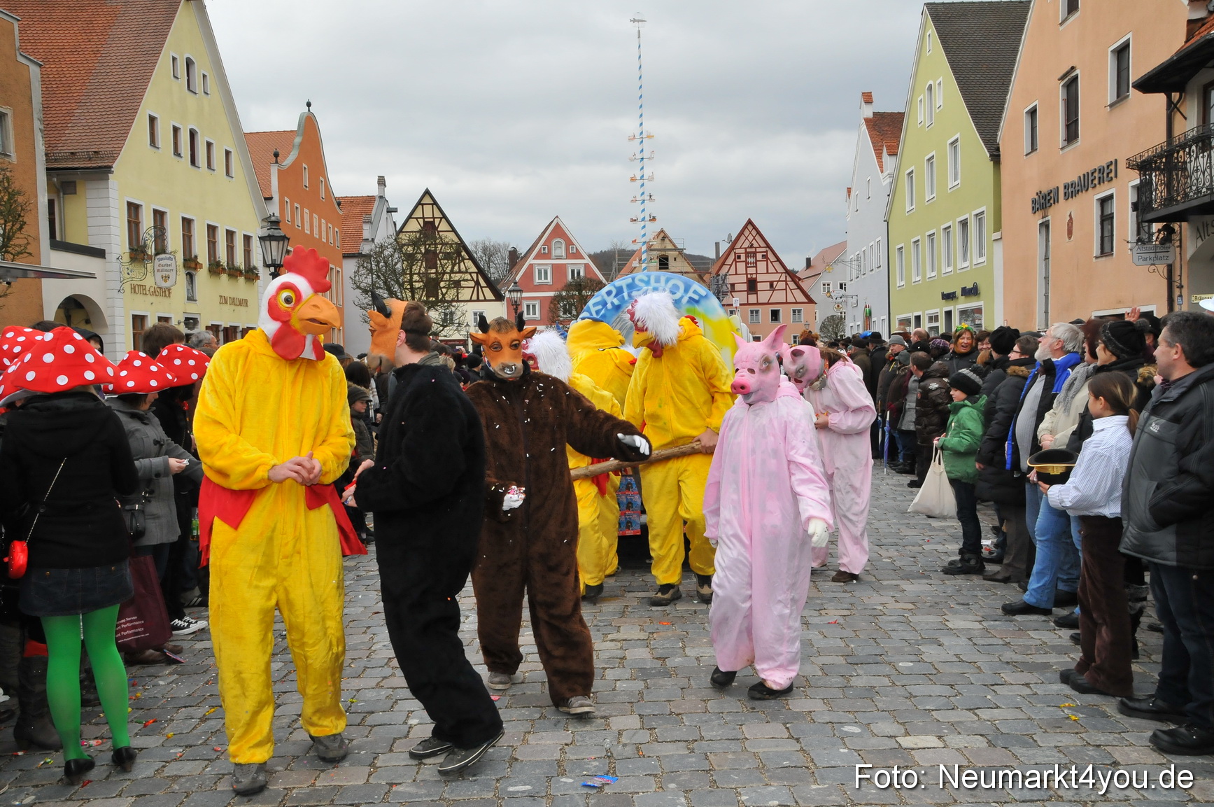 Faschingszug Berching 190212 0161