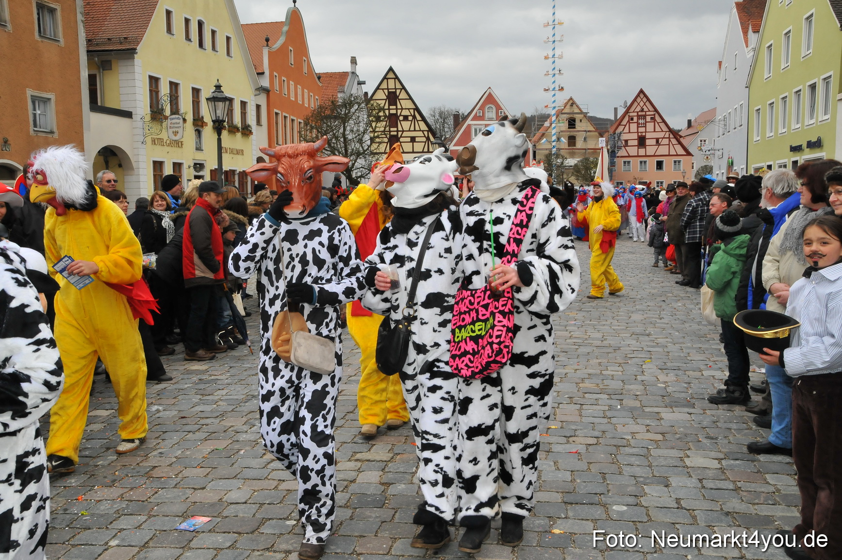 Faschingszug Berching 190212 0165