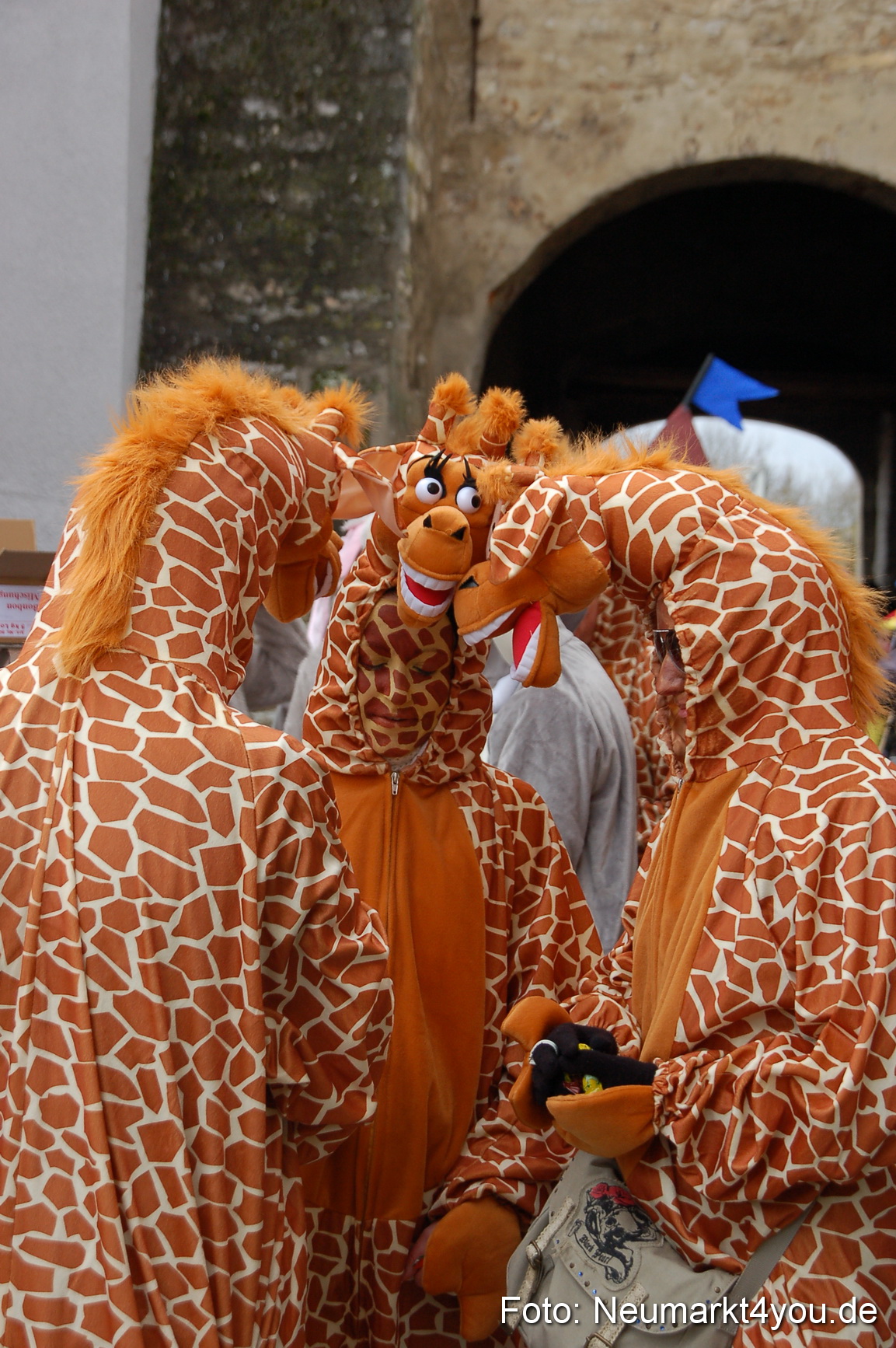 Faschingszug Berching 190212 0201