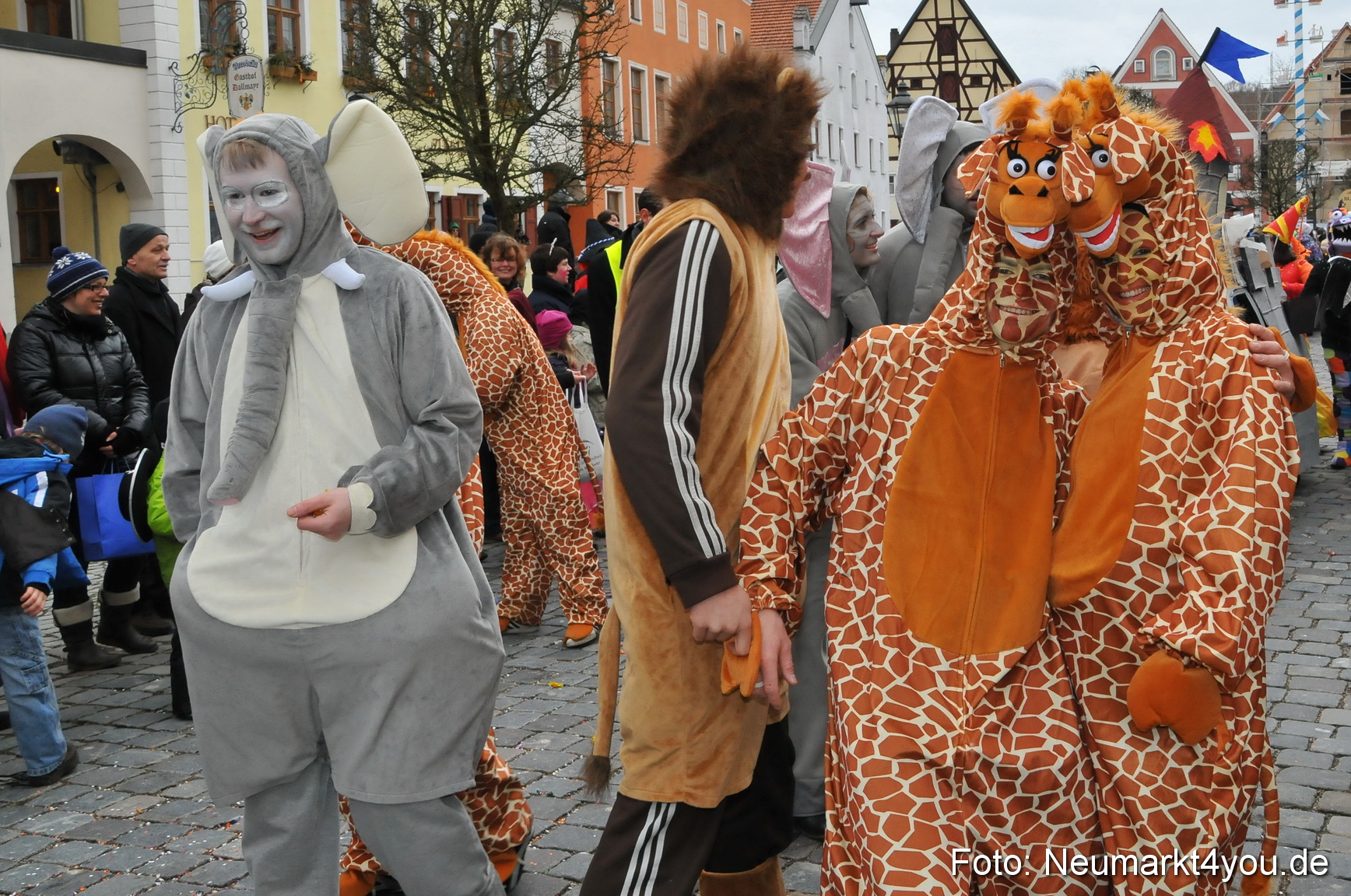Faschingszug Berching 190212 0230