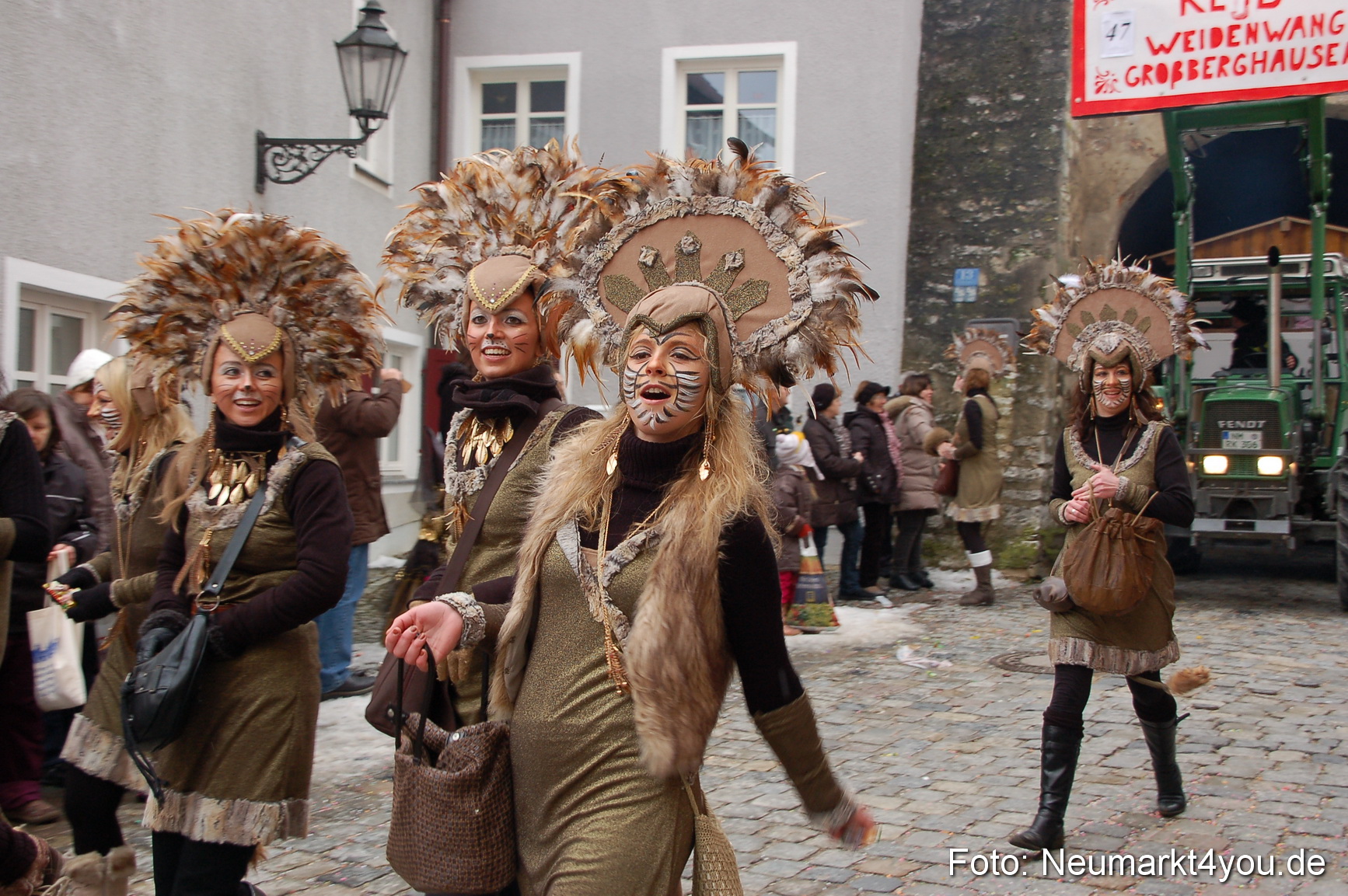 Faschingszug Berching 190212 0252