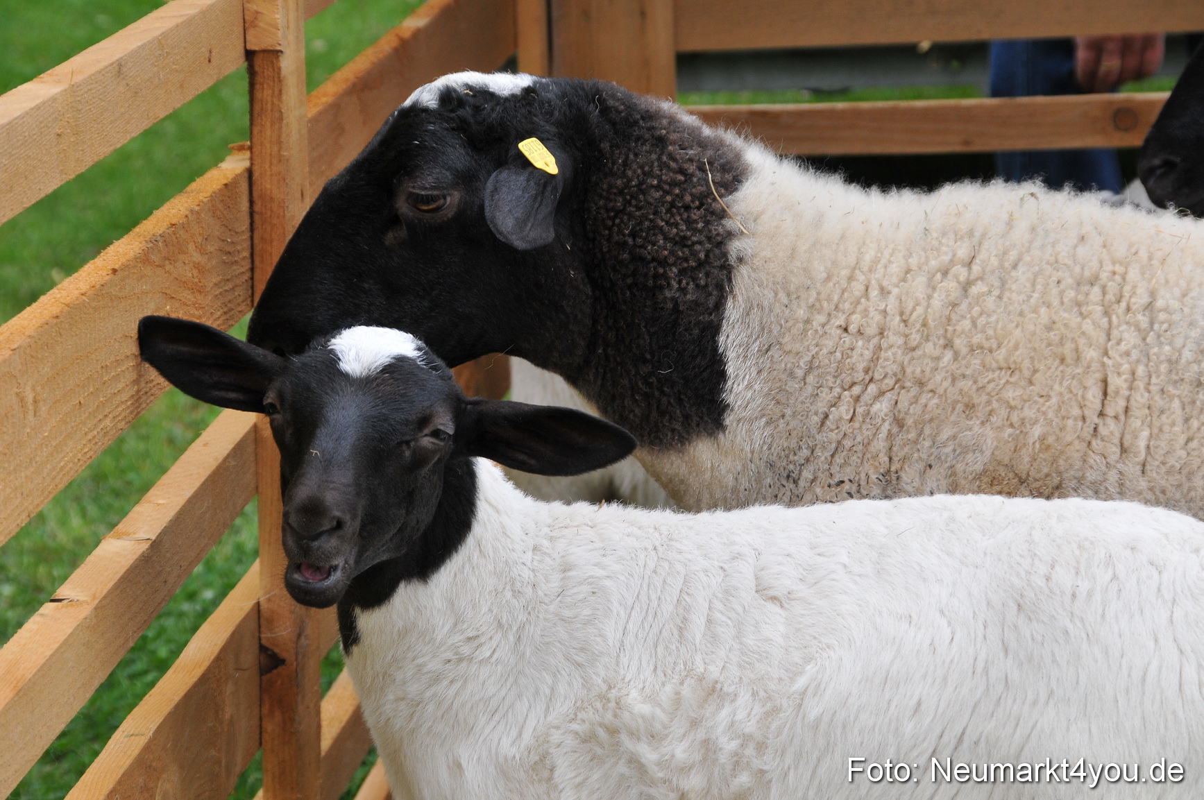 Fruehlingsfest Neumarkt 2012 0163