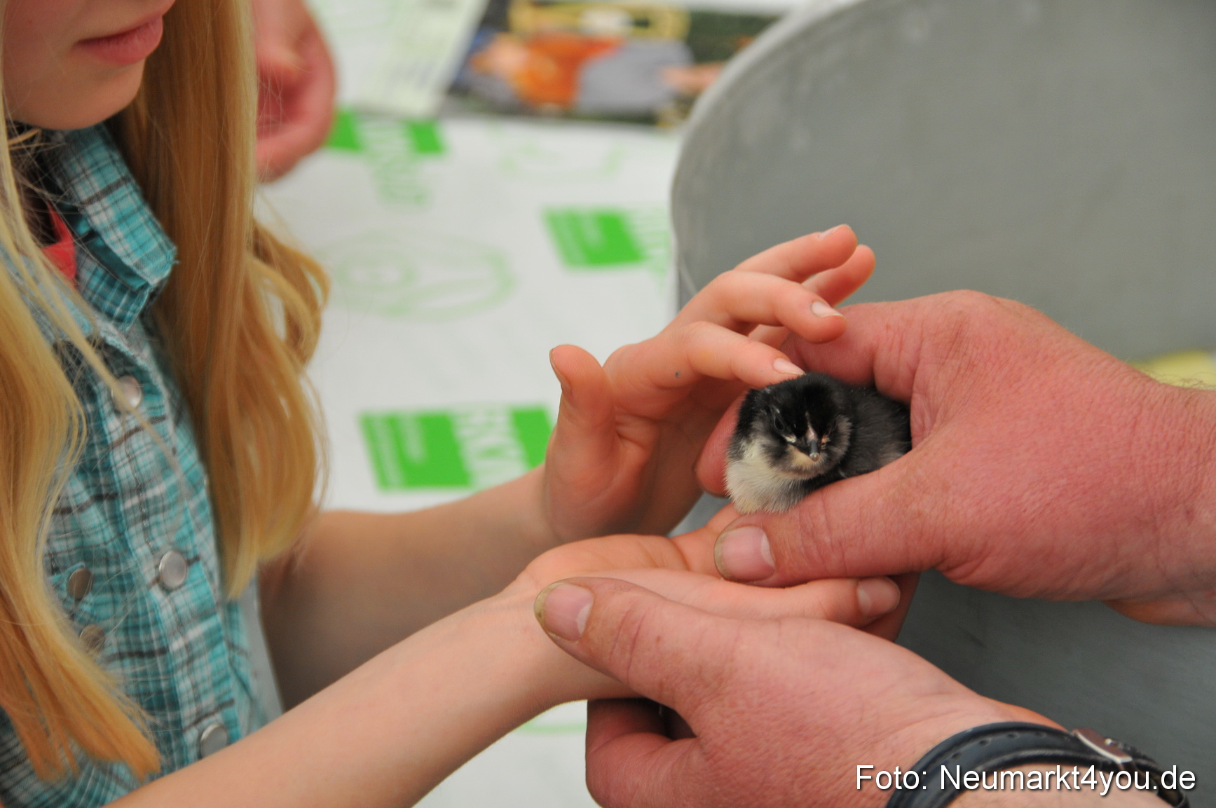Fruehlingsfest Neumarkt 2012 0167