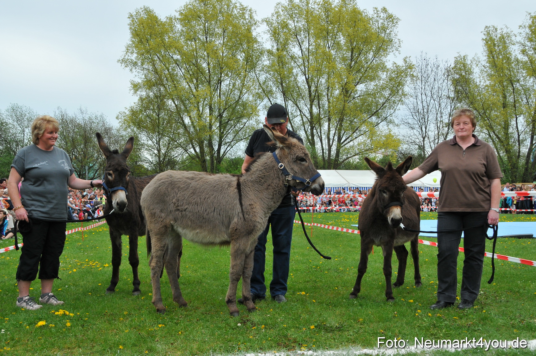 Eselrennen Fruehlingsfest 2012 0003