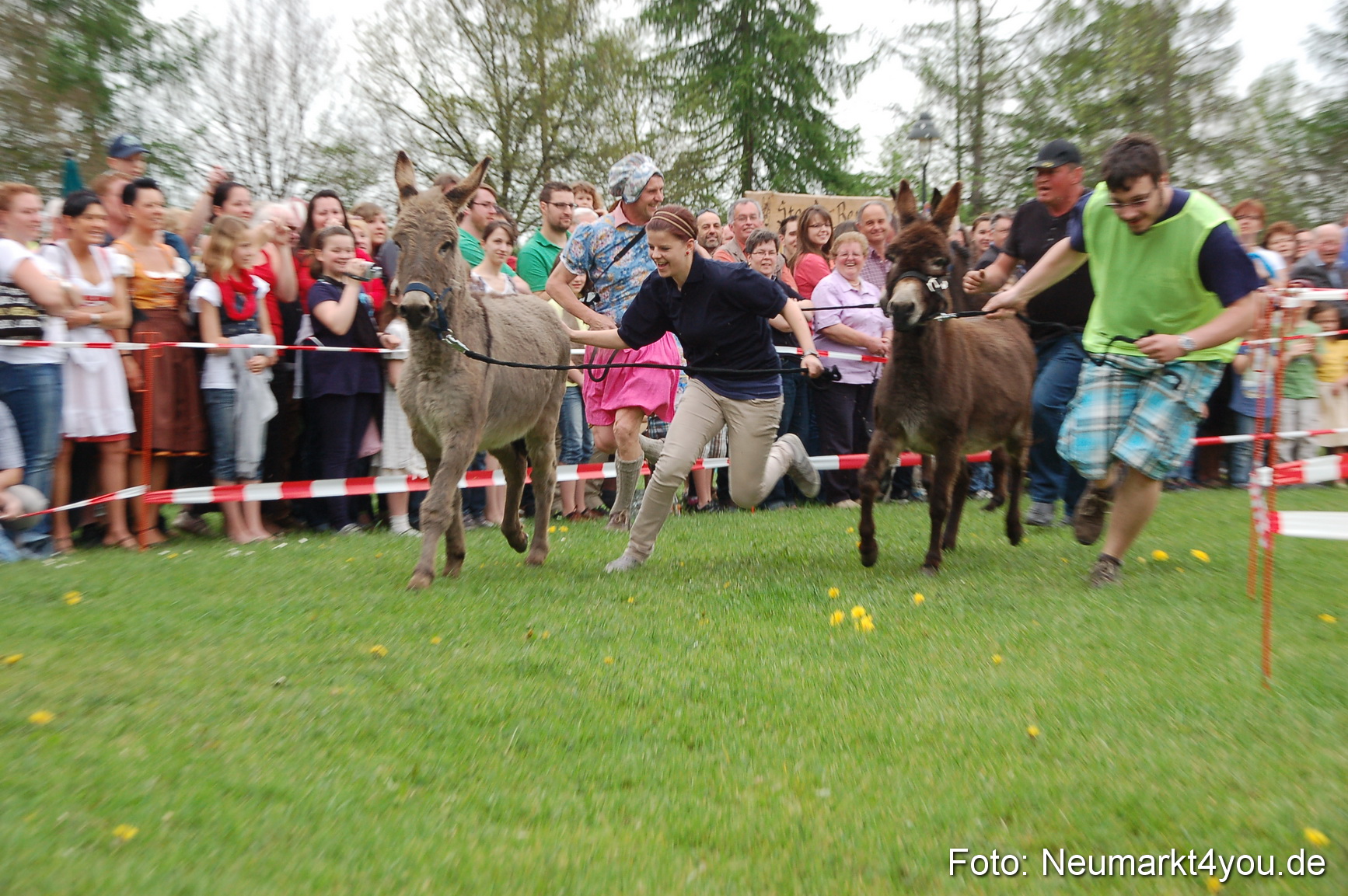 Eselrennen Fruehlingsfest 2012 0017