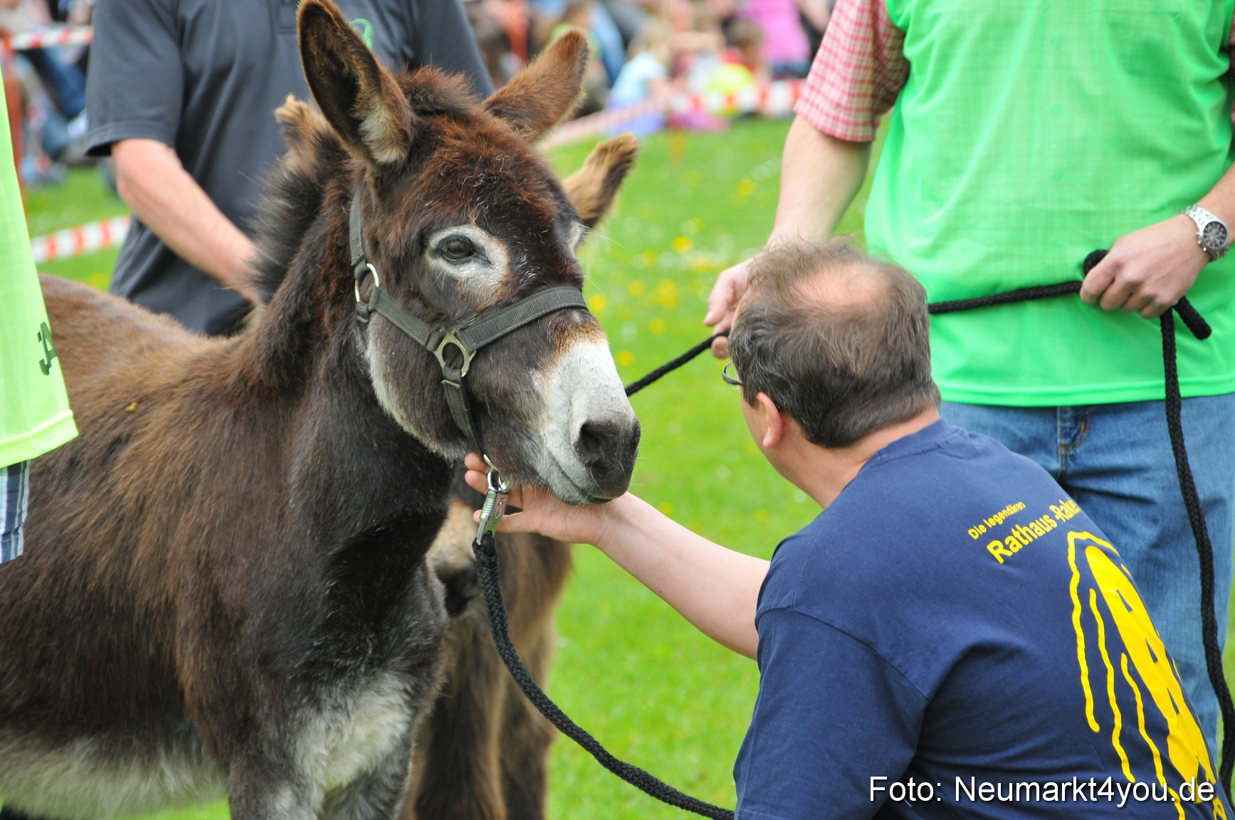 Eselrennen Fruehlingsfest 2012 0030