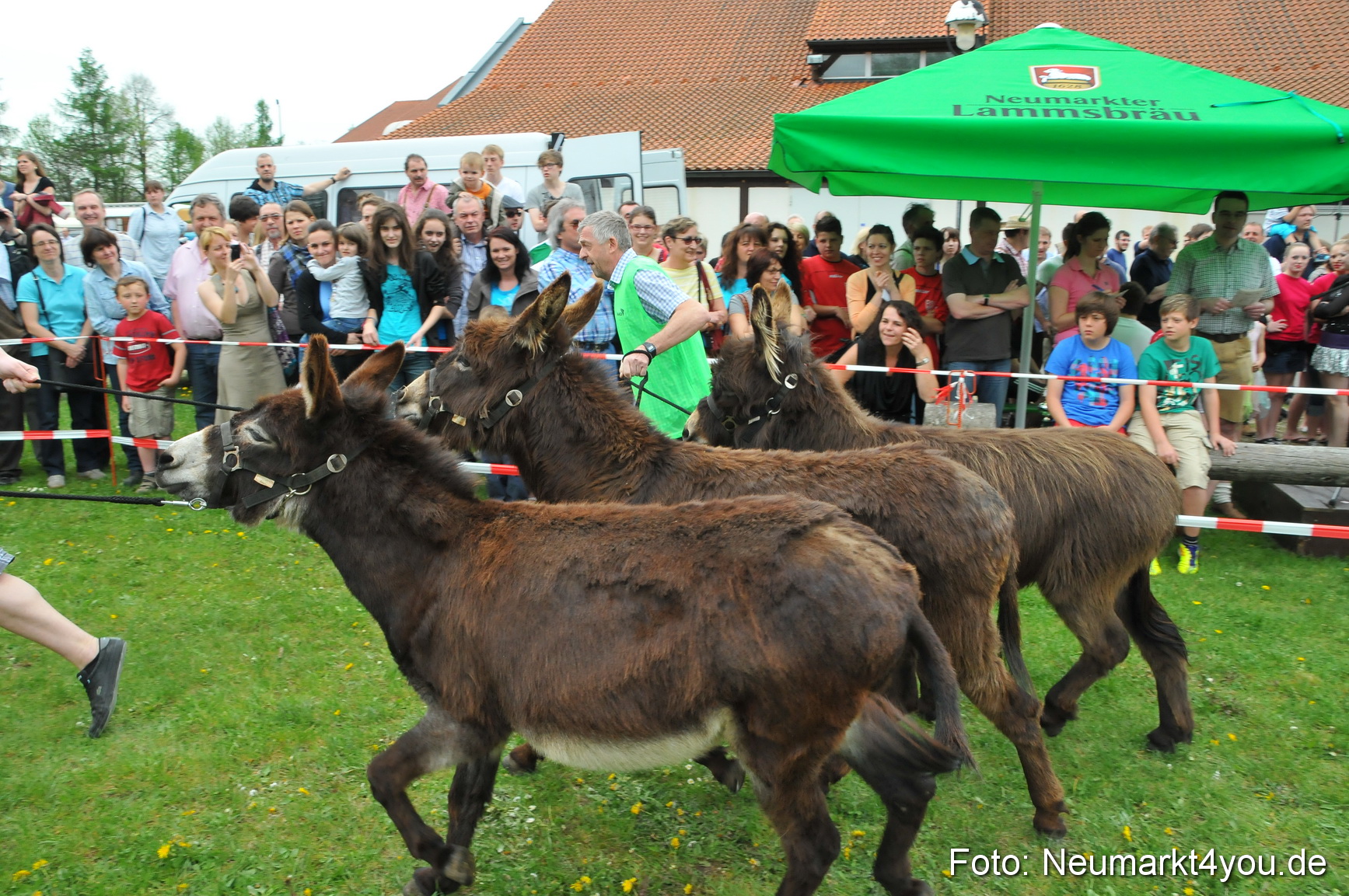 Eselrennen Fruehlingsfest 2012 0035