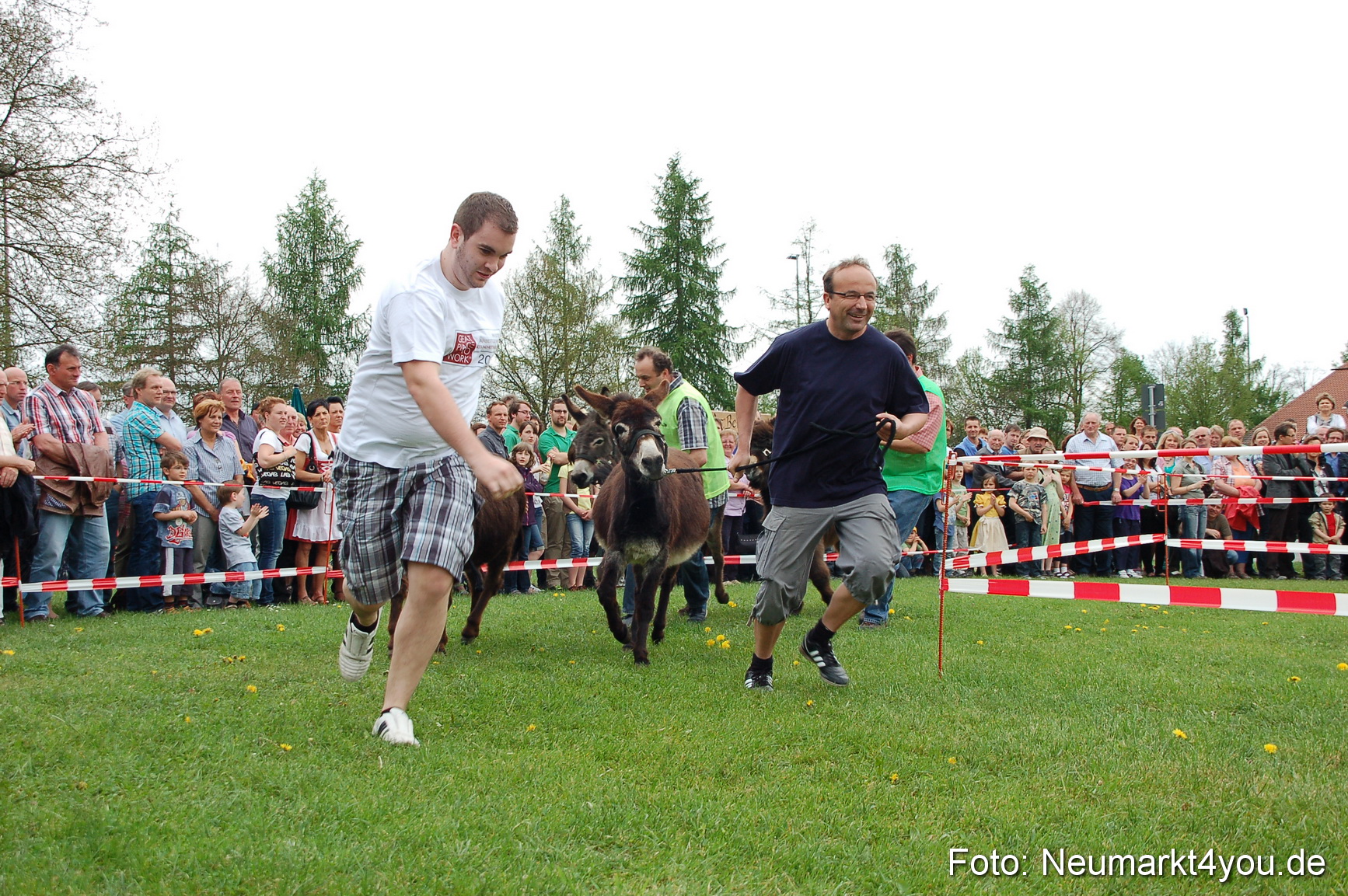 Eselrennen Fruehlingsfest 2012 0043