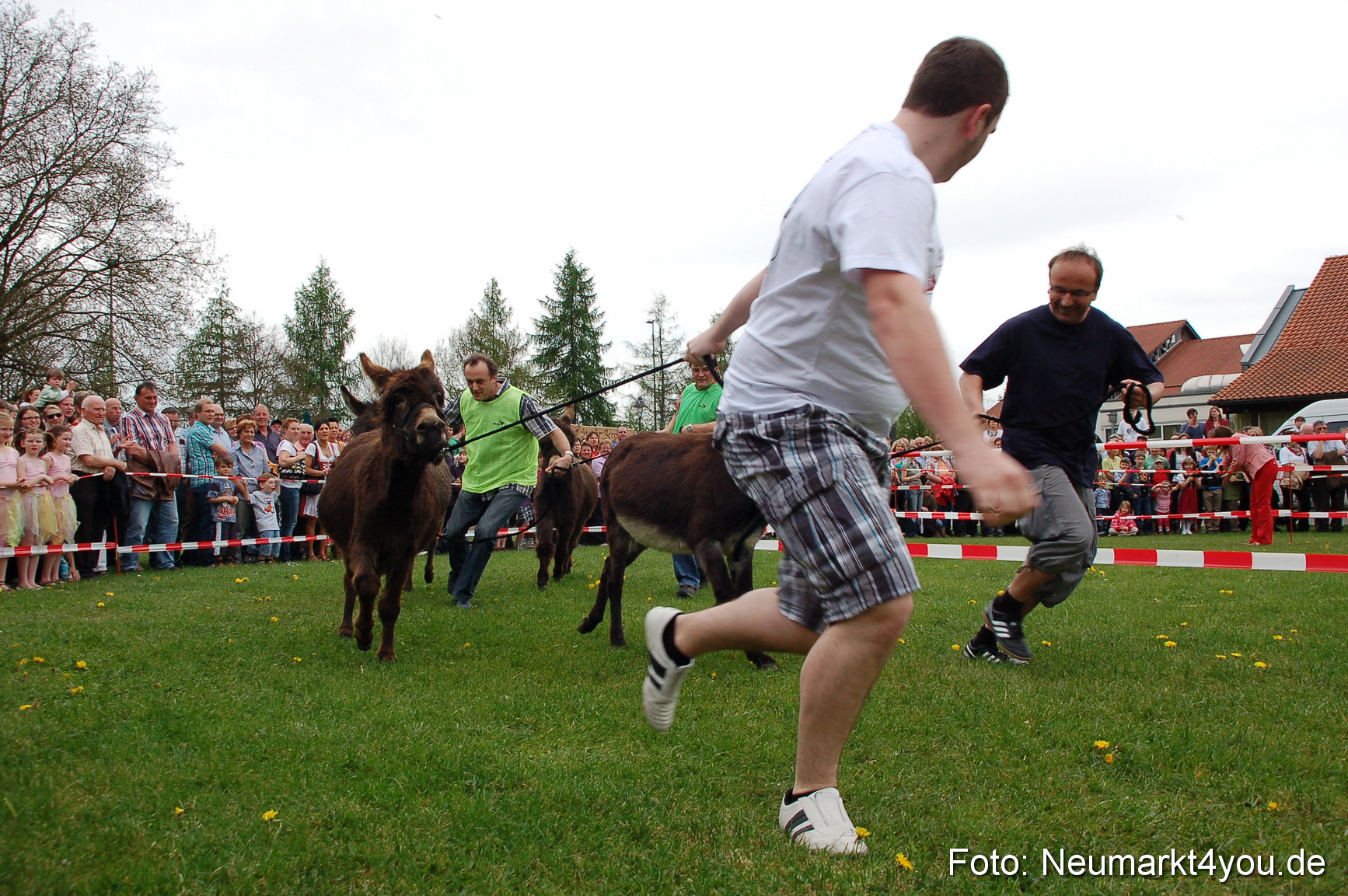 Eselrennen Fruehlingsfest 2012 0045