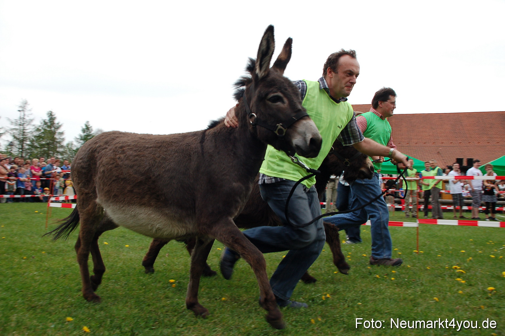 Eselrennen Fruehlingsfest 2012 0047