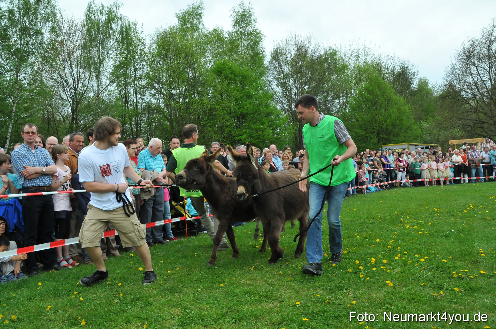Eselrennen Fruehlingsfest 2012 0048