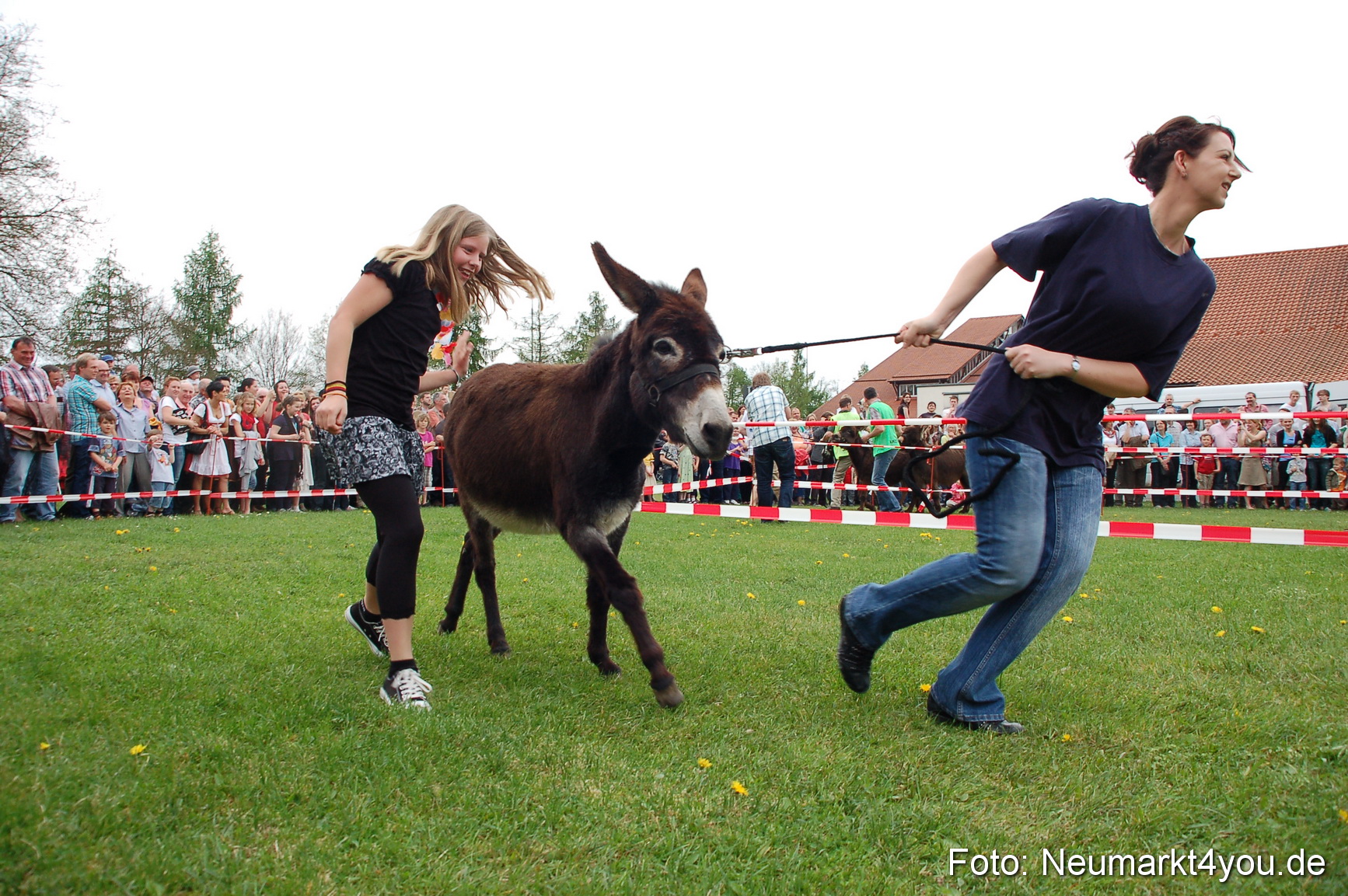 Eselrennen Fruehlingsfest 2012 0056