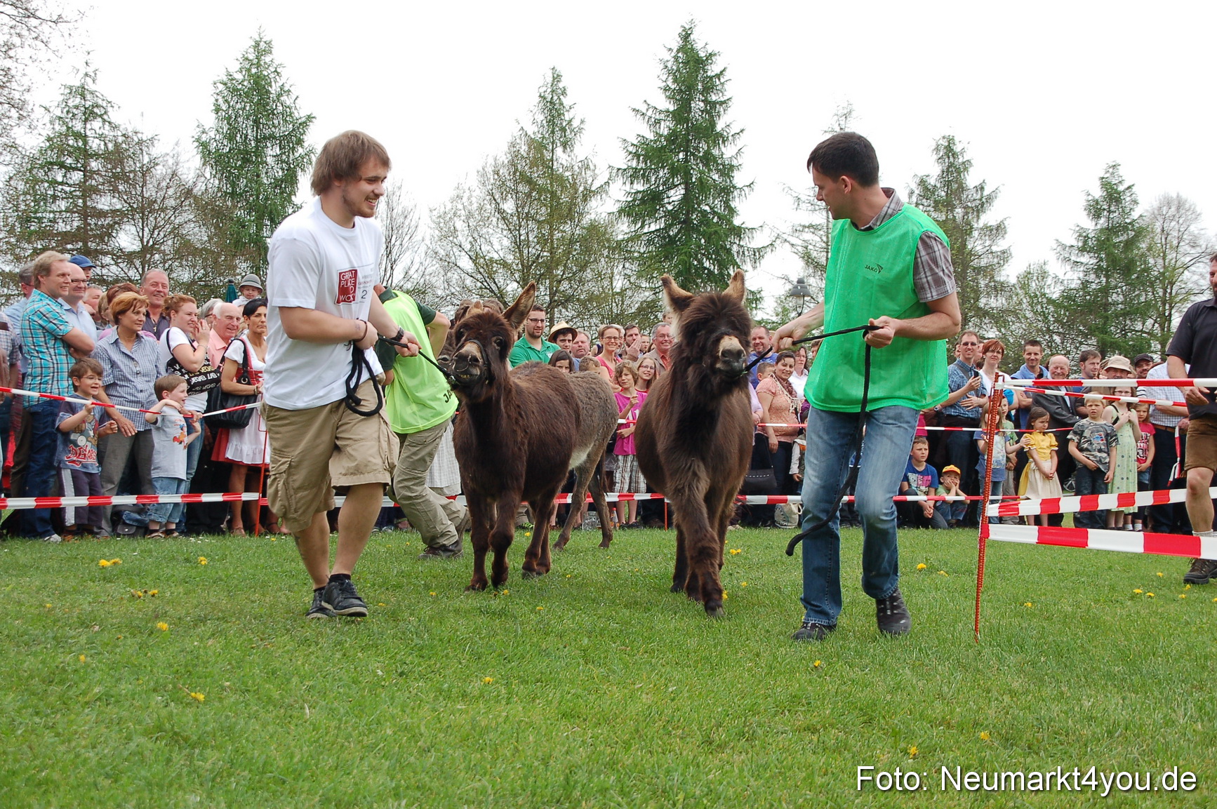 Eselrennen Fruehlingsfest 2012 0059