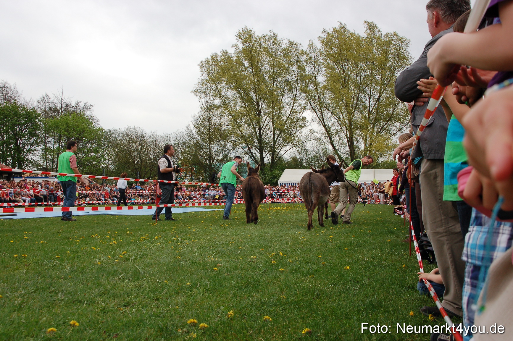 Eselrennen Fruehlingsfest 2012 0061