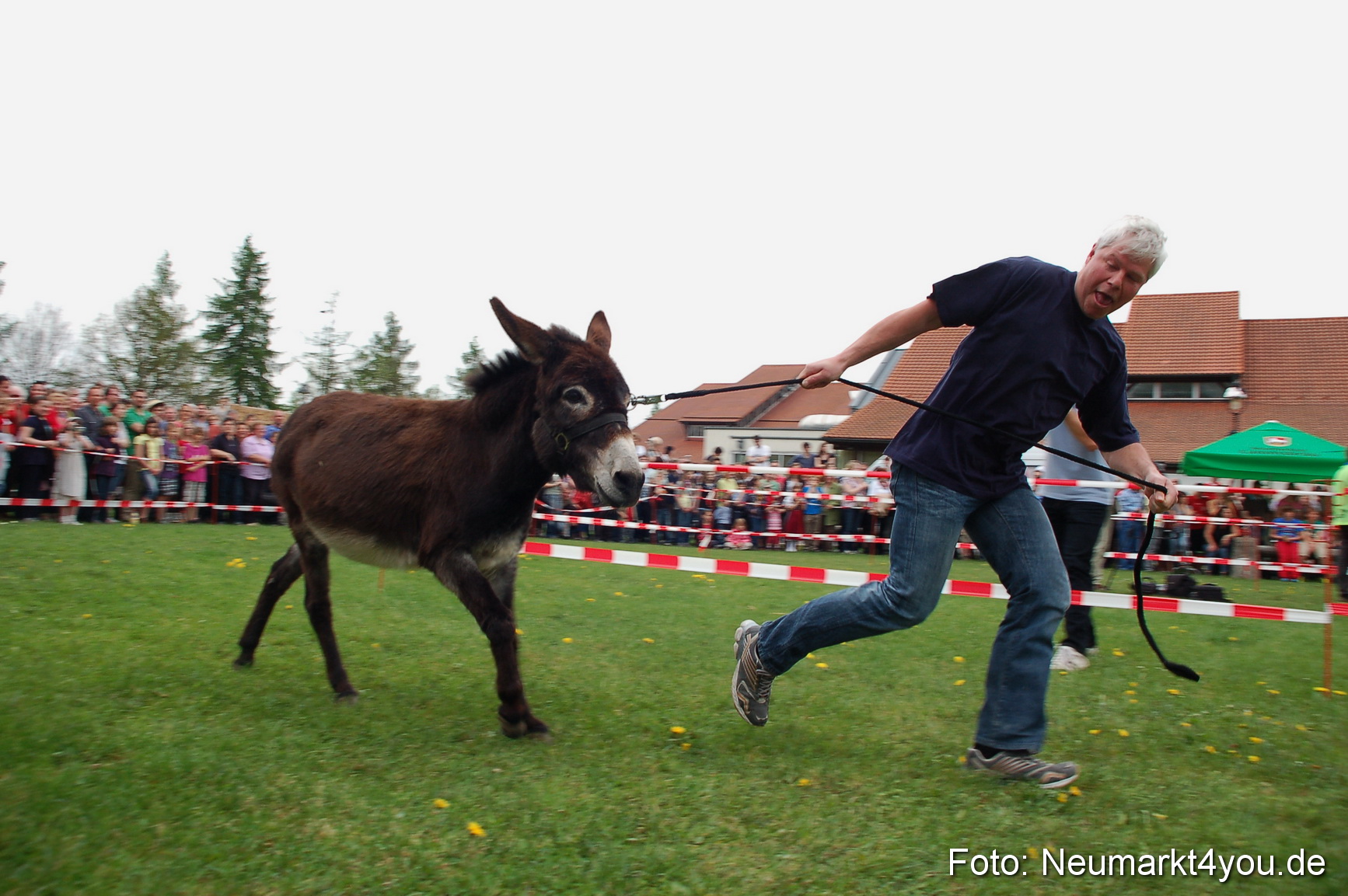 Eselrennen Fruehlingsfest 2012 0063