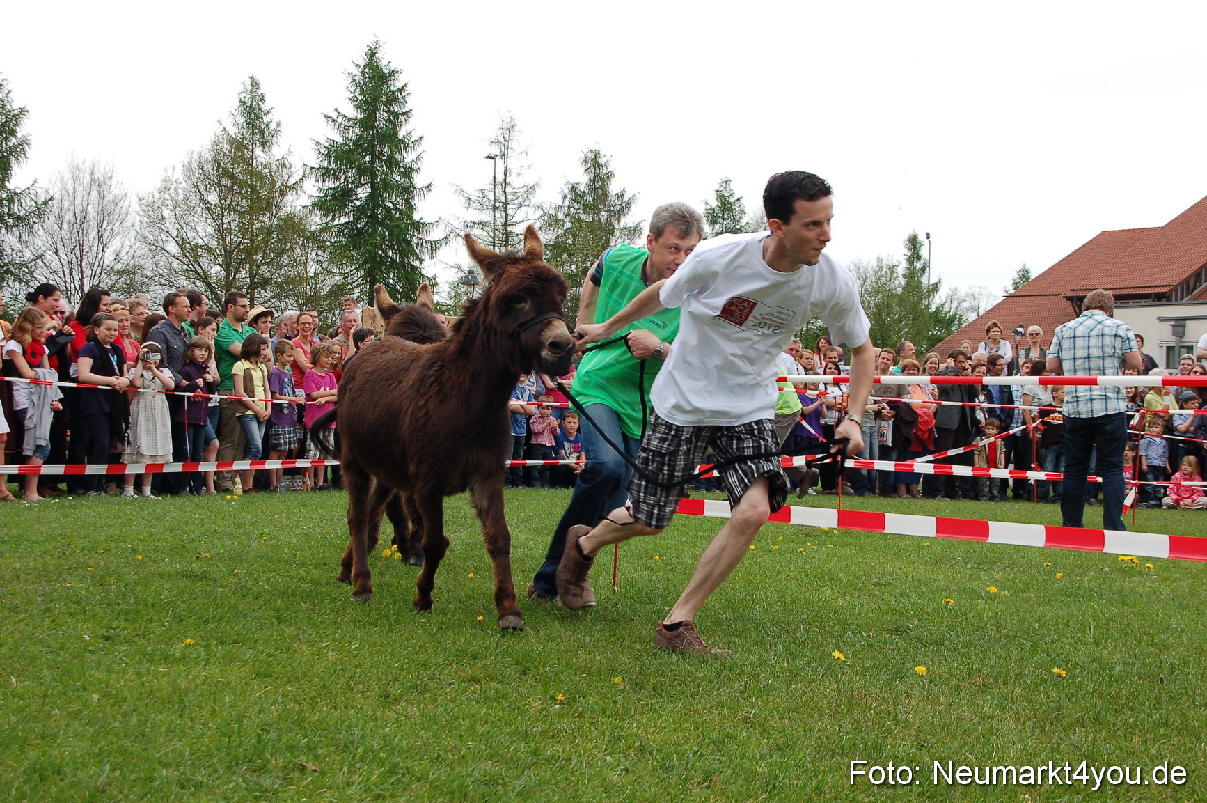 Eselrennen Fruehlingsfest 2012 0064