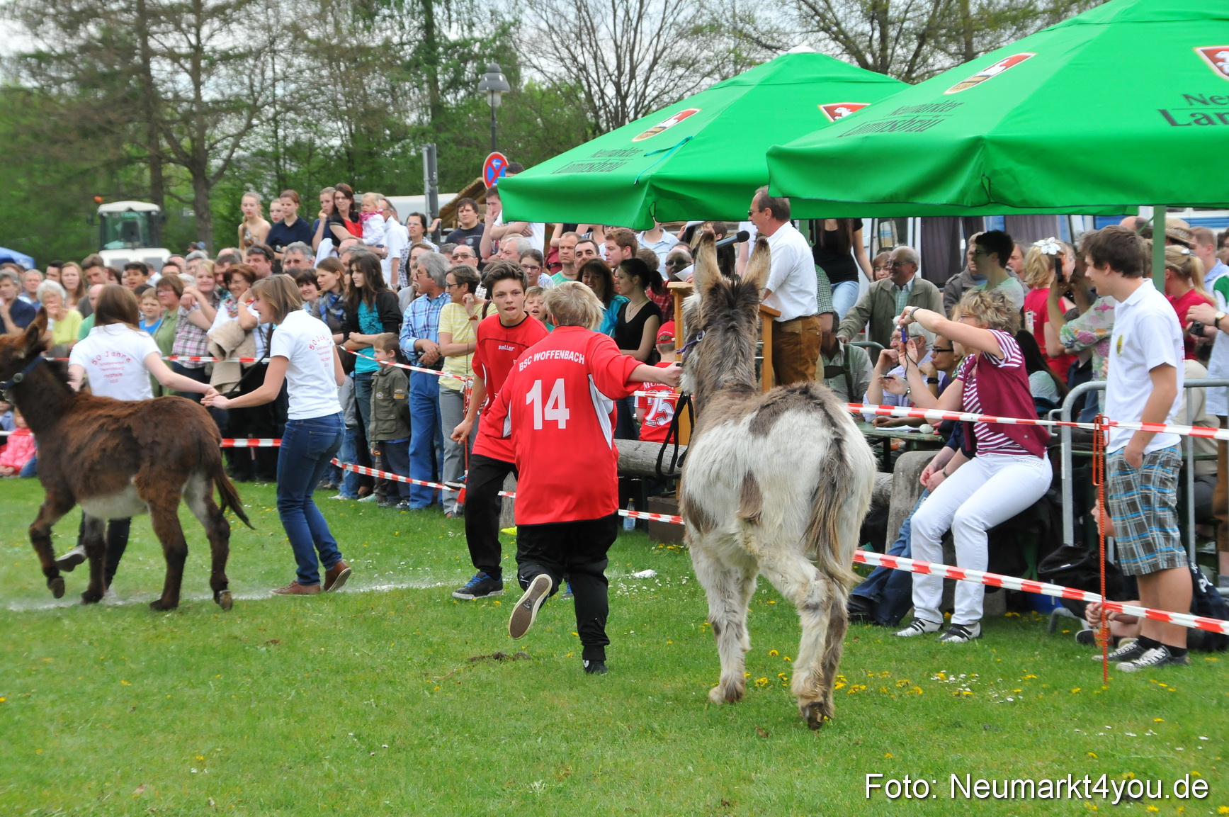 Eselrennen Fruehlingsfest 2012 0079