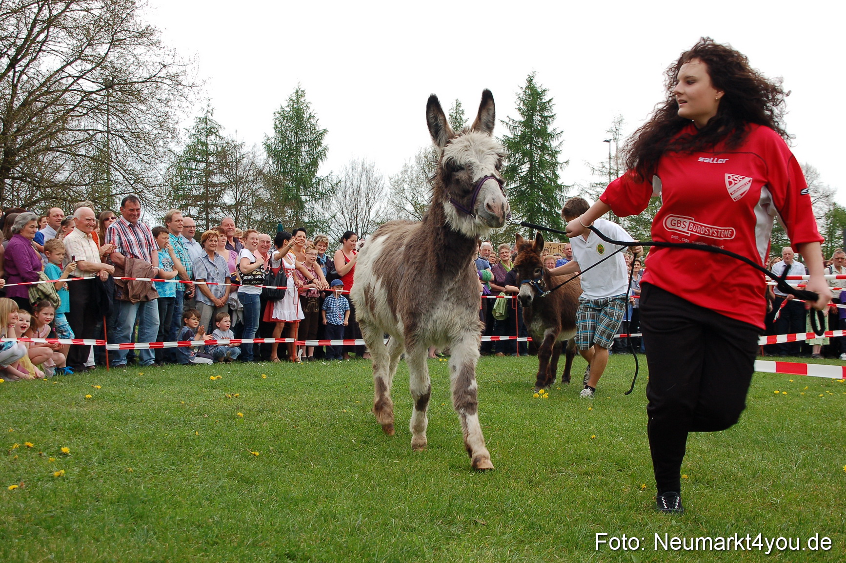 Eselrennen Fruehlingsfest 2012 0081