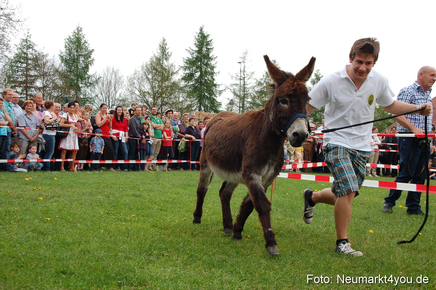 Eselrennen Fruehlingsfest 2012 0082