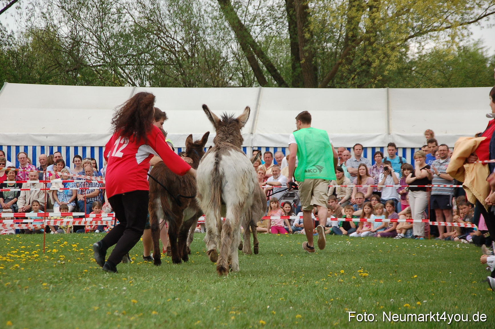 Eselrennen Fruehlingsfest 2012 0084