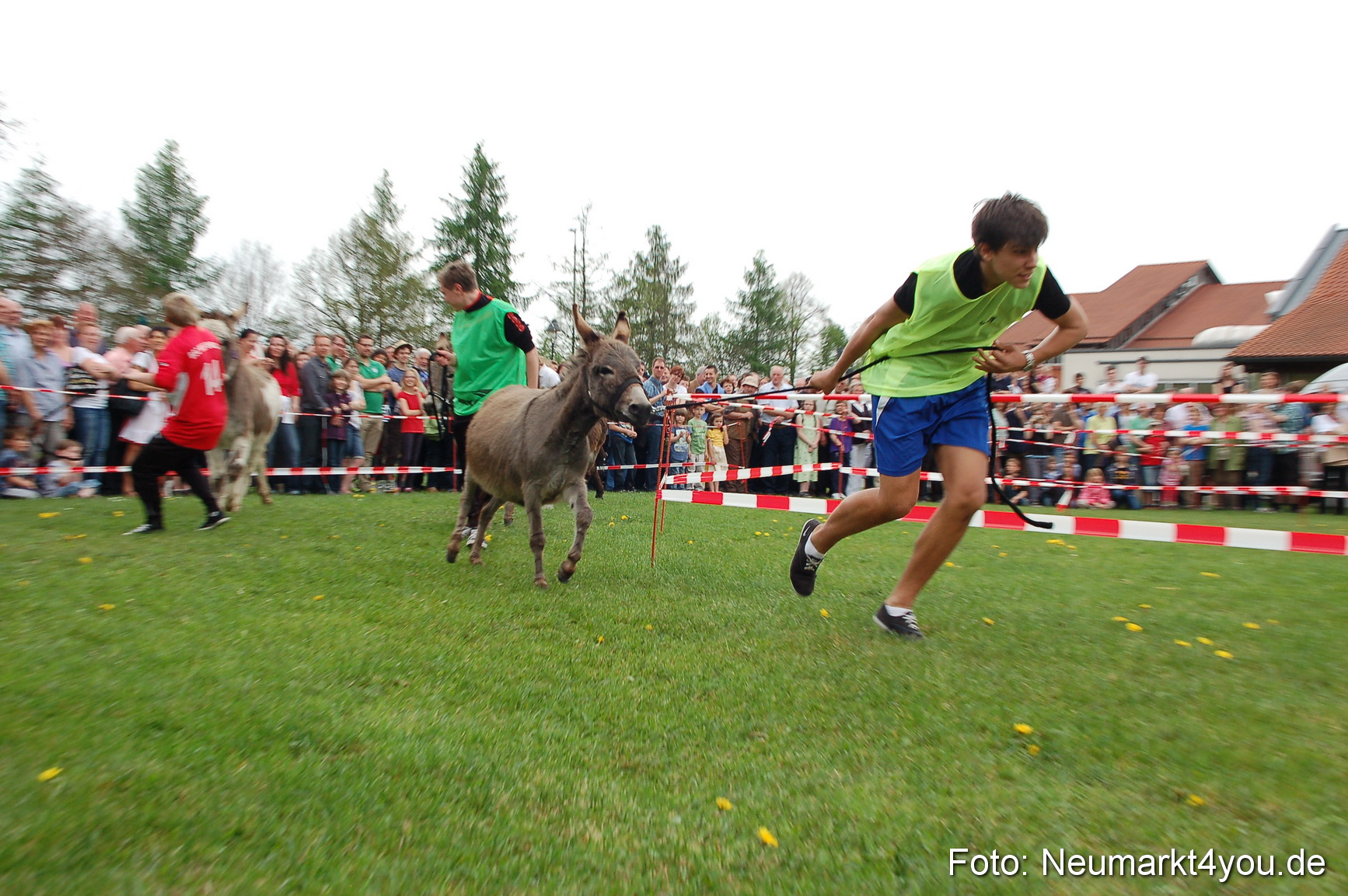 Eselrennen Fruehlingsfest 2012 0088