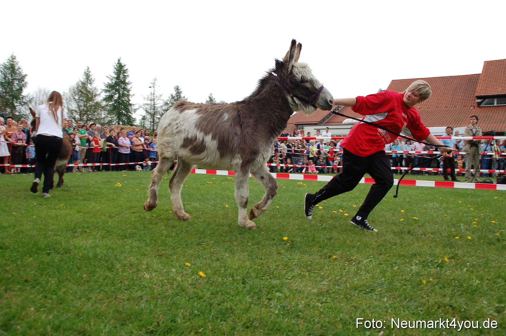Eselrennen Fruehlingsfest 2012 0090