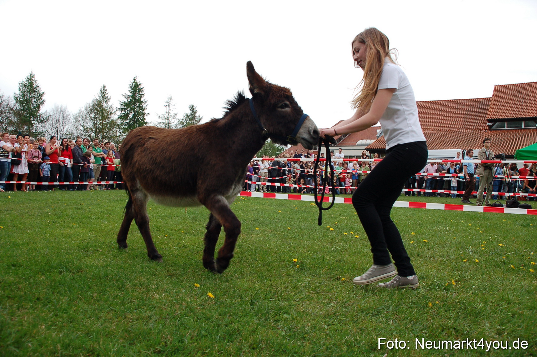 Eselrennen Fruehlingsfest 2012 0091