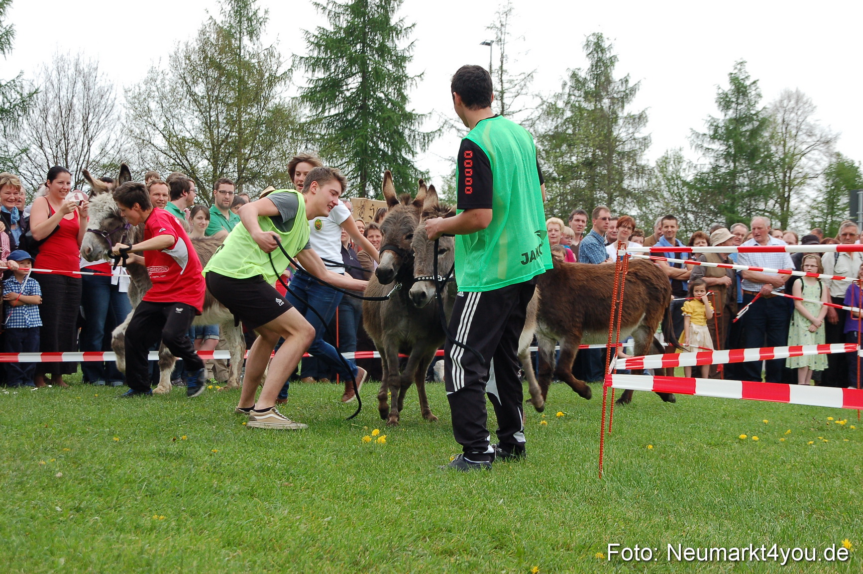 Eselrennen Fruehlingsfest 2012 0097