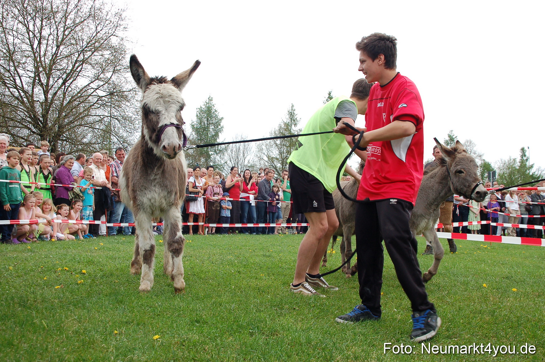 Eselrennen Fruehlingsfest 2012 0098