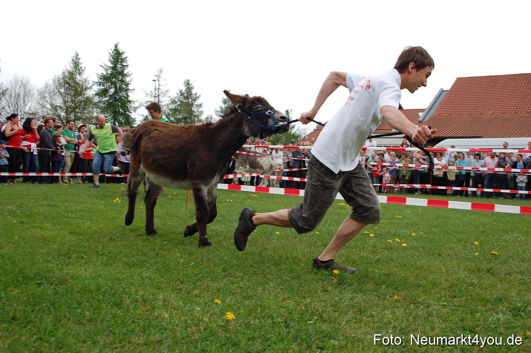 Eselrennen Fruehlingsfest 2012 0099