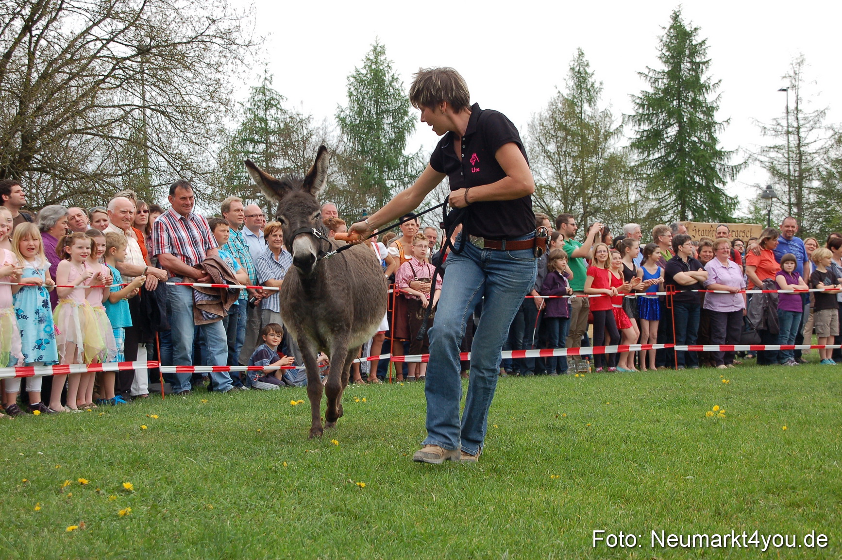 Eselrennen Fruehlingsfest 2012 0113