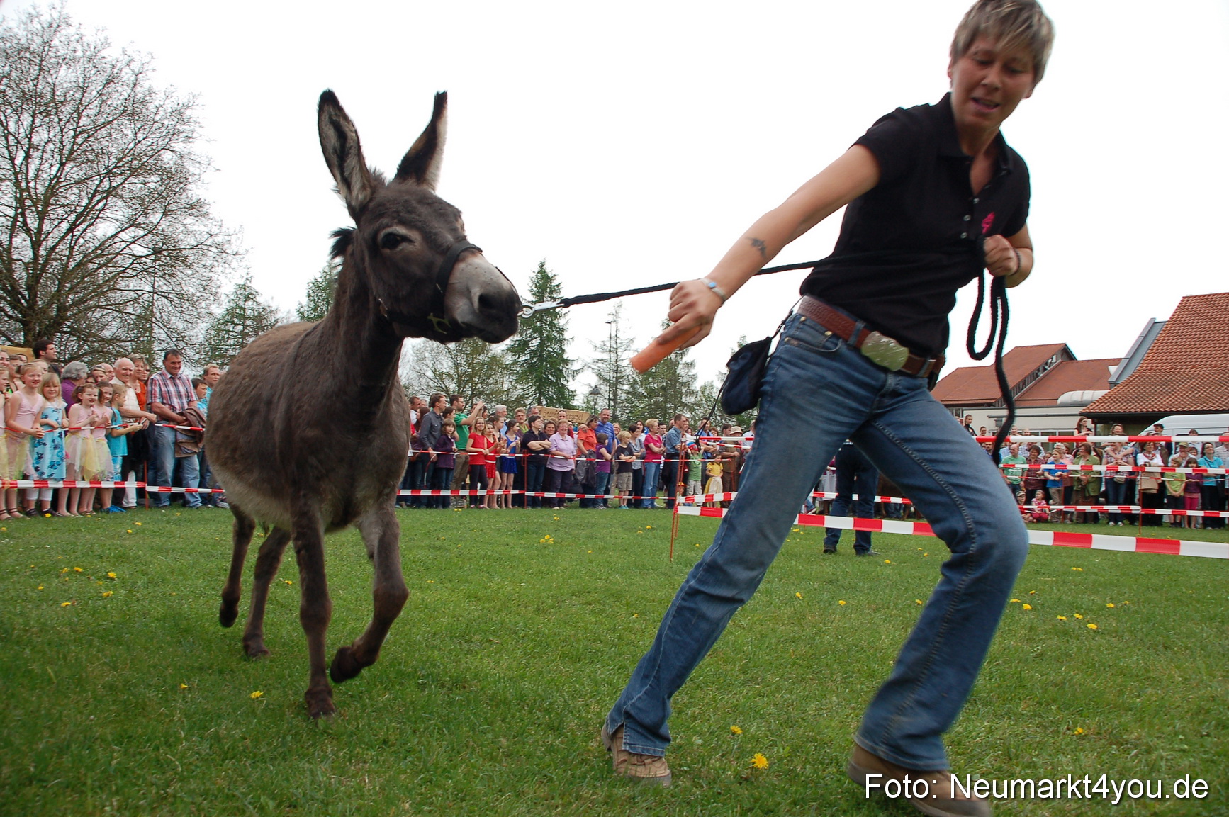Eselrennen Fruehlingsfest 2012 0115
